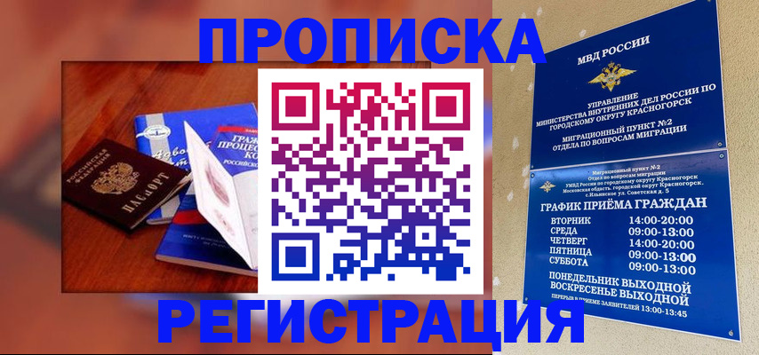 временная регистрация для школы в Новодвинске